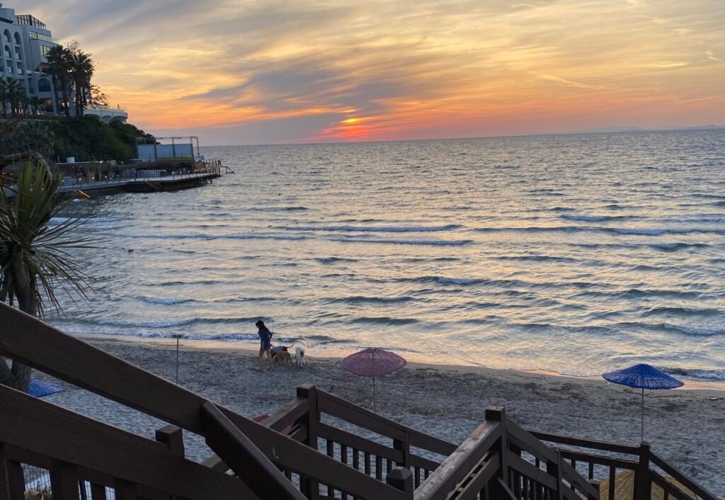 Kadınlar Denizi evlilik teklifi 