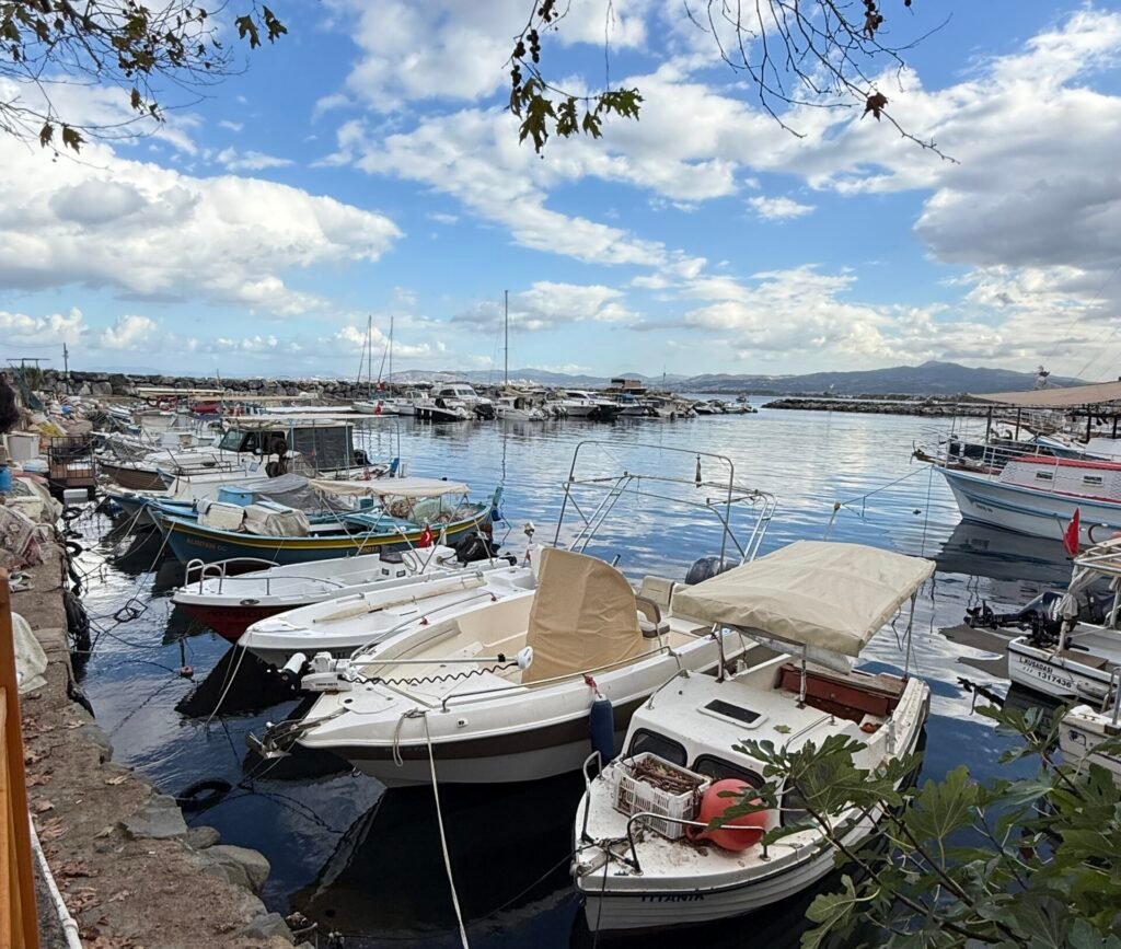 Güzelçamlı marina