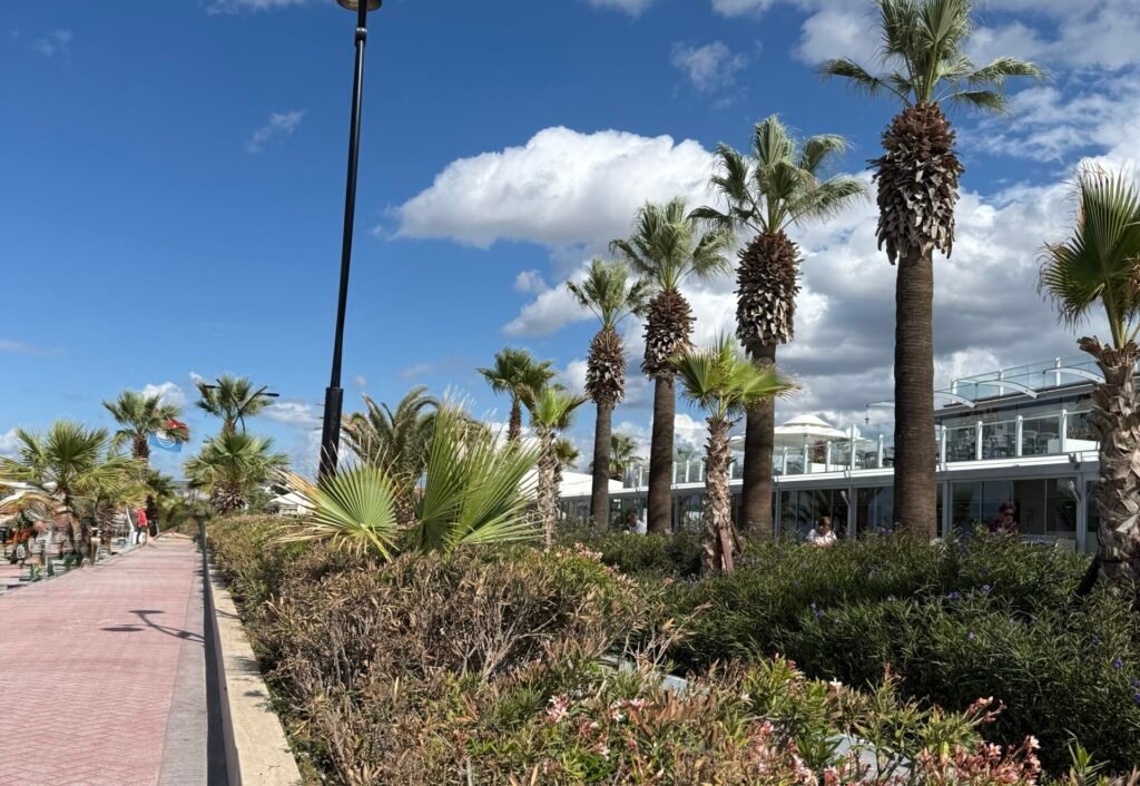 Sevgi Yolu, Palm Wings Otelin önü