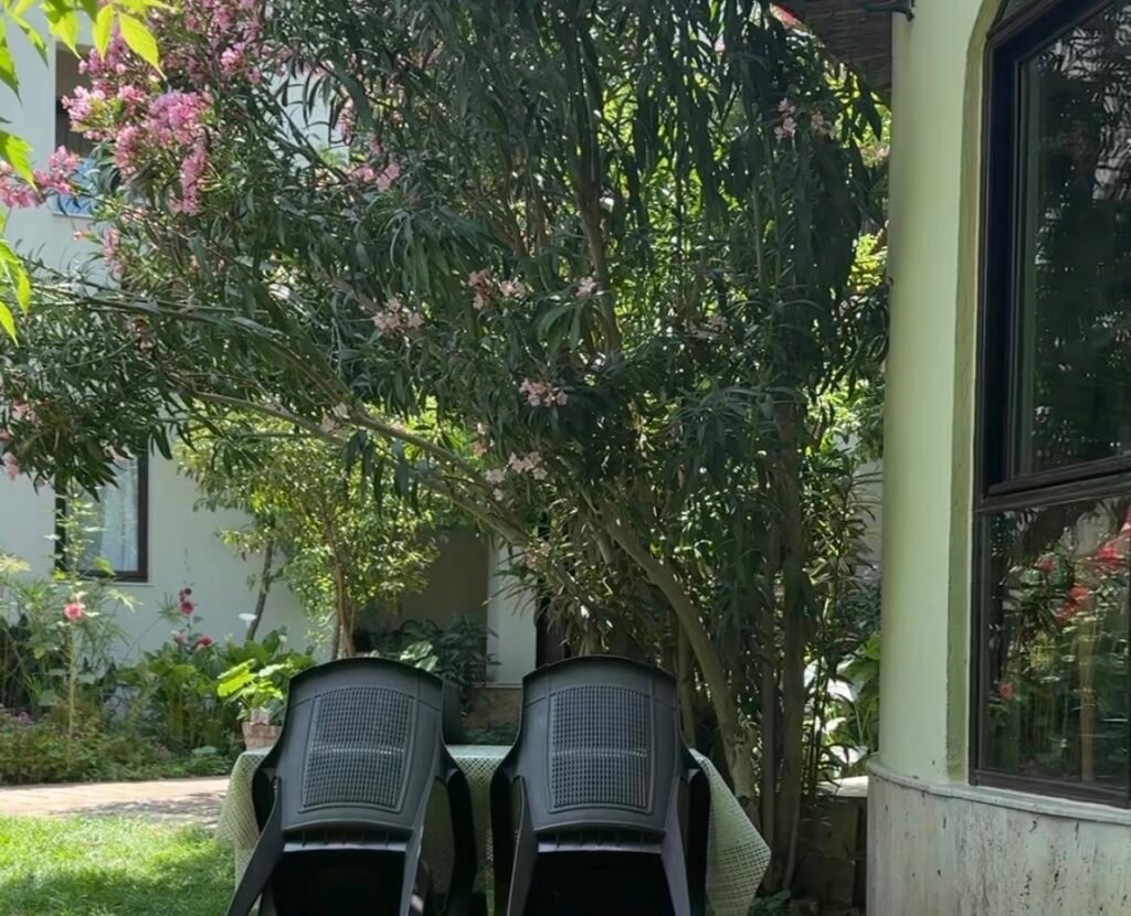 Ephesus Boutique Hotel bahçesi